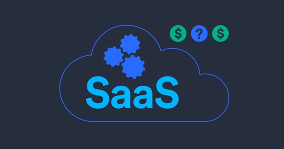 What are the characteristics of successful SaaS companies?