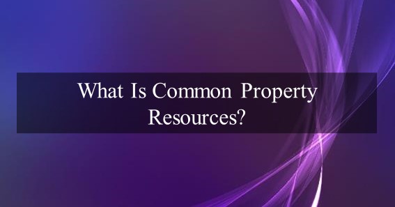 what is common property resources